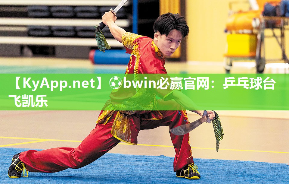 乒乓球台飞凯乐