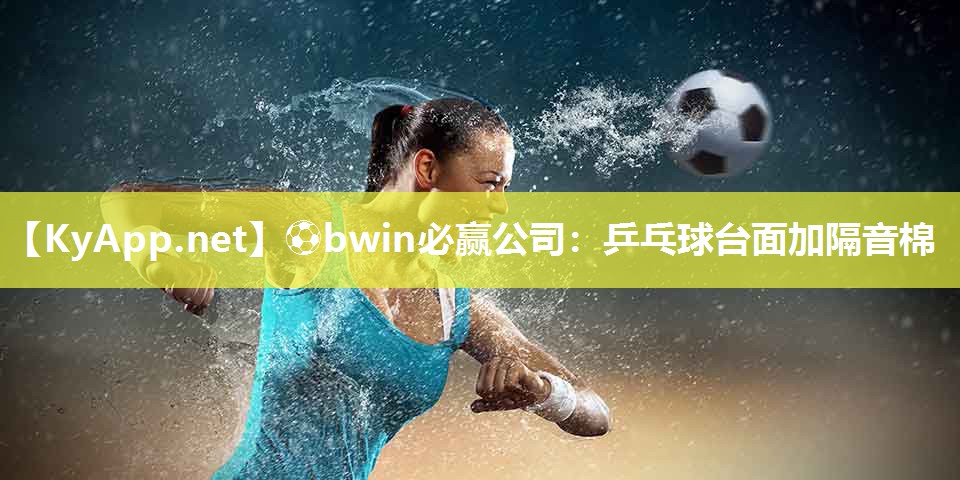 乒乓球台面加隔音棉
