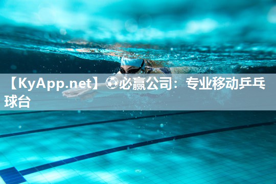 专业移动乒乓球台
