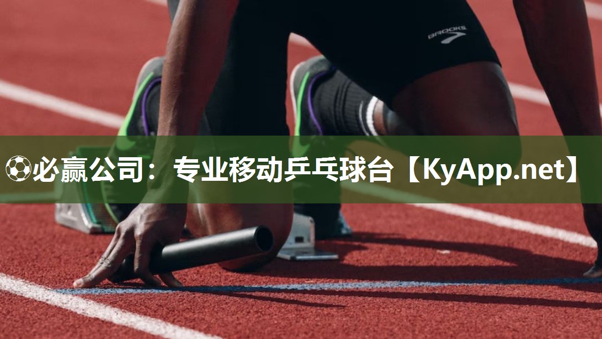 专业移动乒乓球台