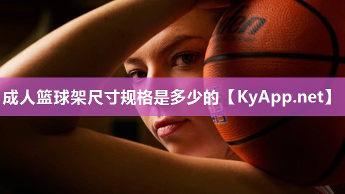 成人篮球架尺寸规格是多少的