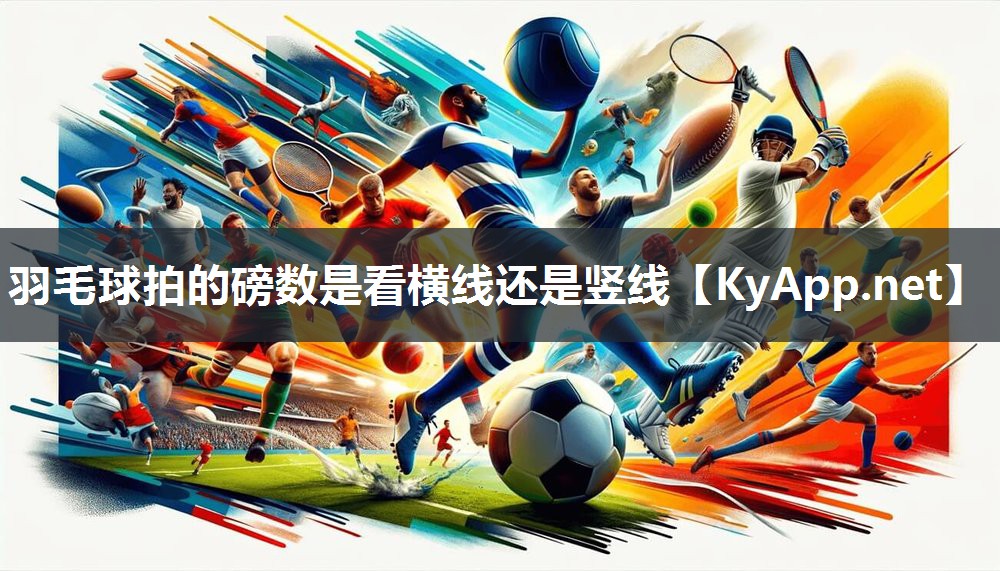 羽毛球拍的磅数是看横线还是竖线