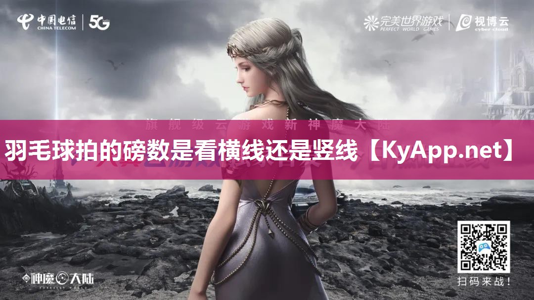 羽毛球拍的磅数是看横线还是竖线