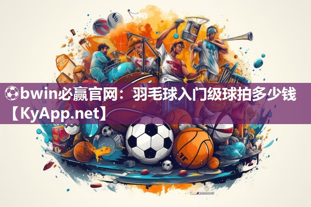 羽毛球入门级球拍多少钱