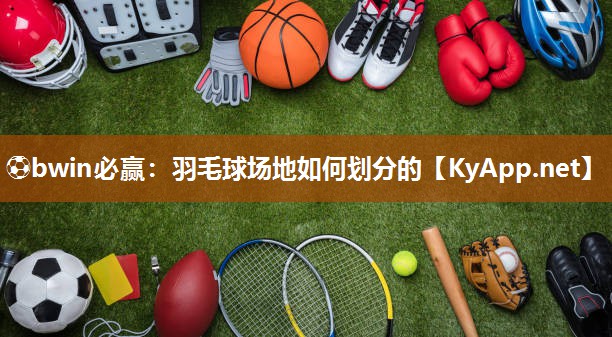 羽毛球场地如何划分的